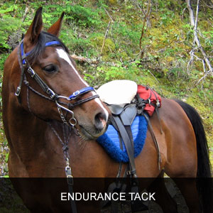 Endurance Riding - Riding Clothes, Horse Tack, Riding Gear & Equipment -  Southern Oregon